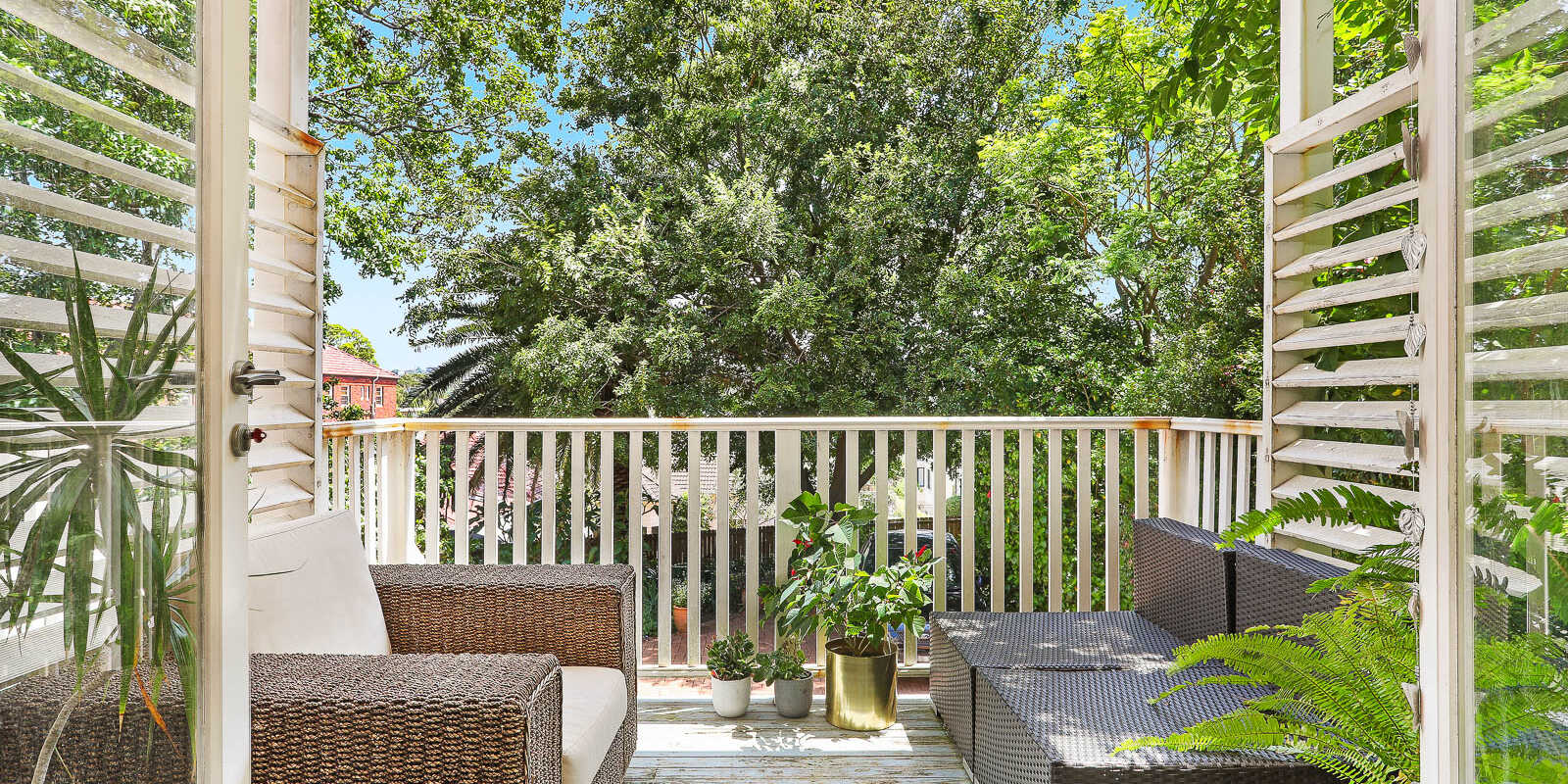 2/3 Hamilton Street Rose Bay