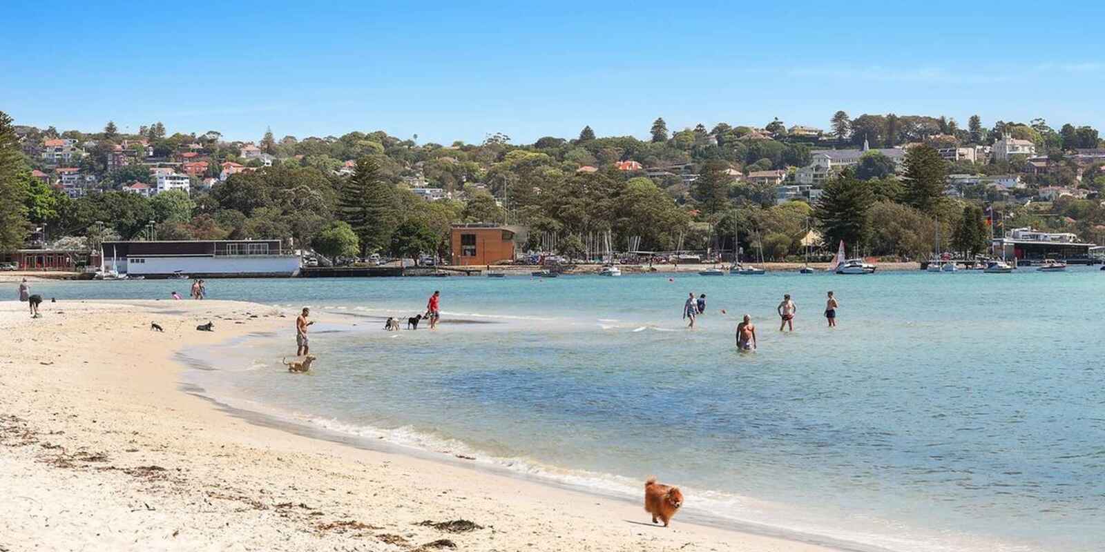 2/4 Iluka Street Rose Bay