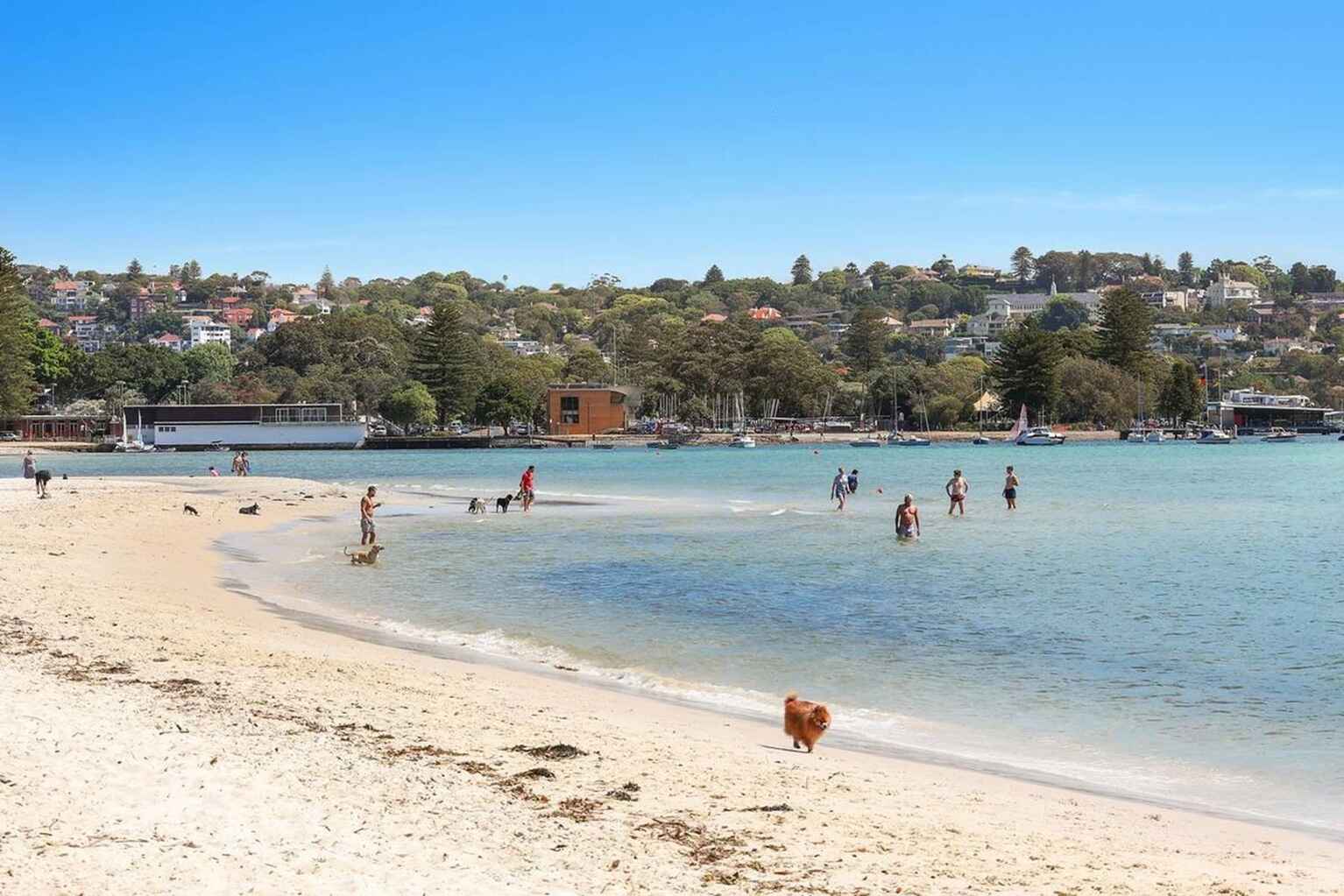 2/4 Iluka Street Rose Bay