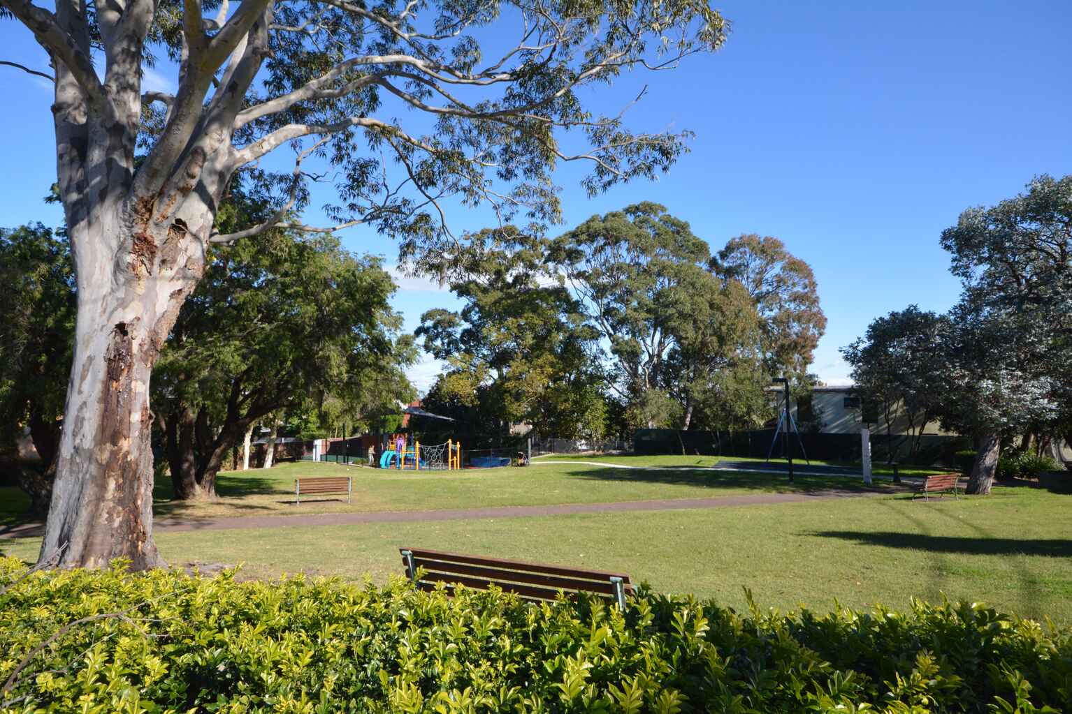 2/3 Gordon Street Randwick