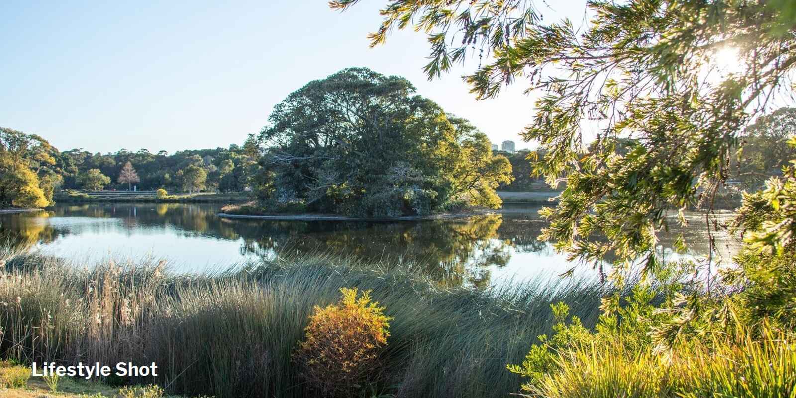 1304/253-255 Oxford Street Bondi Junction