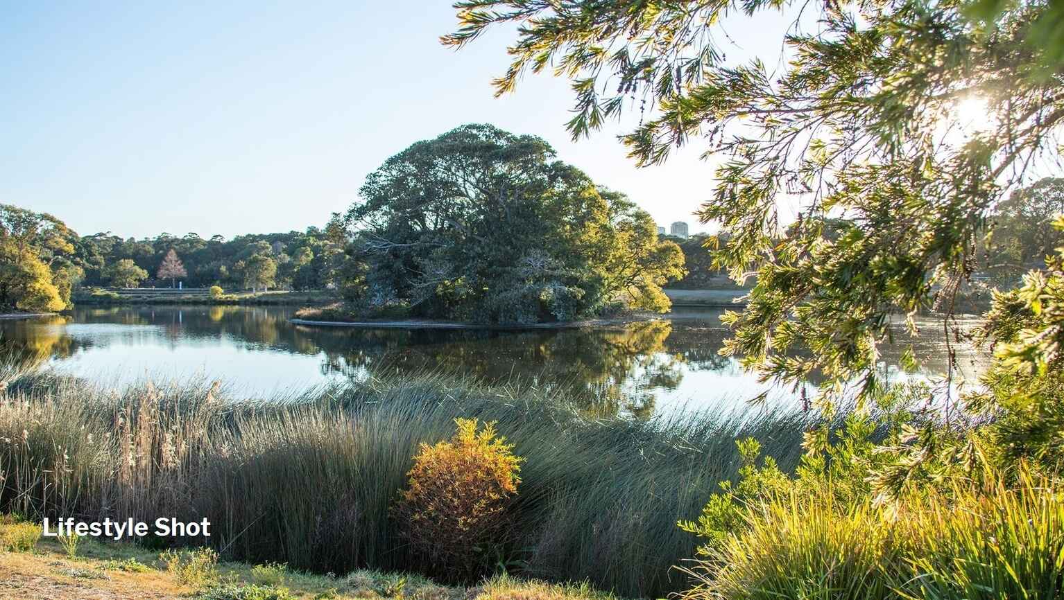 1304/253-255 Oxford Street Bondi Junction