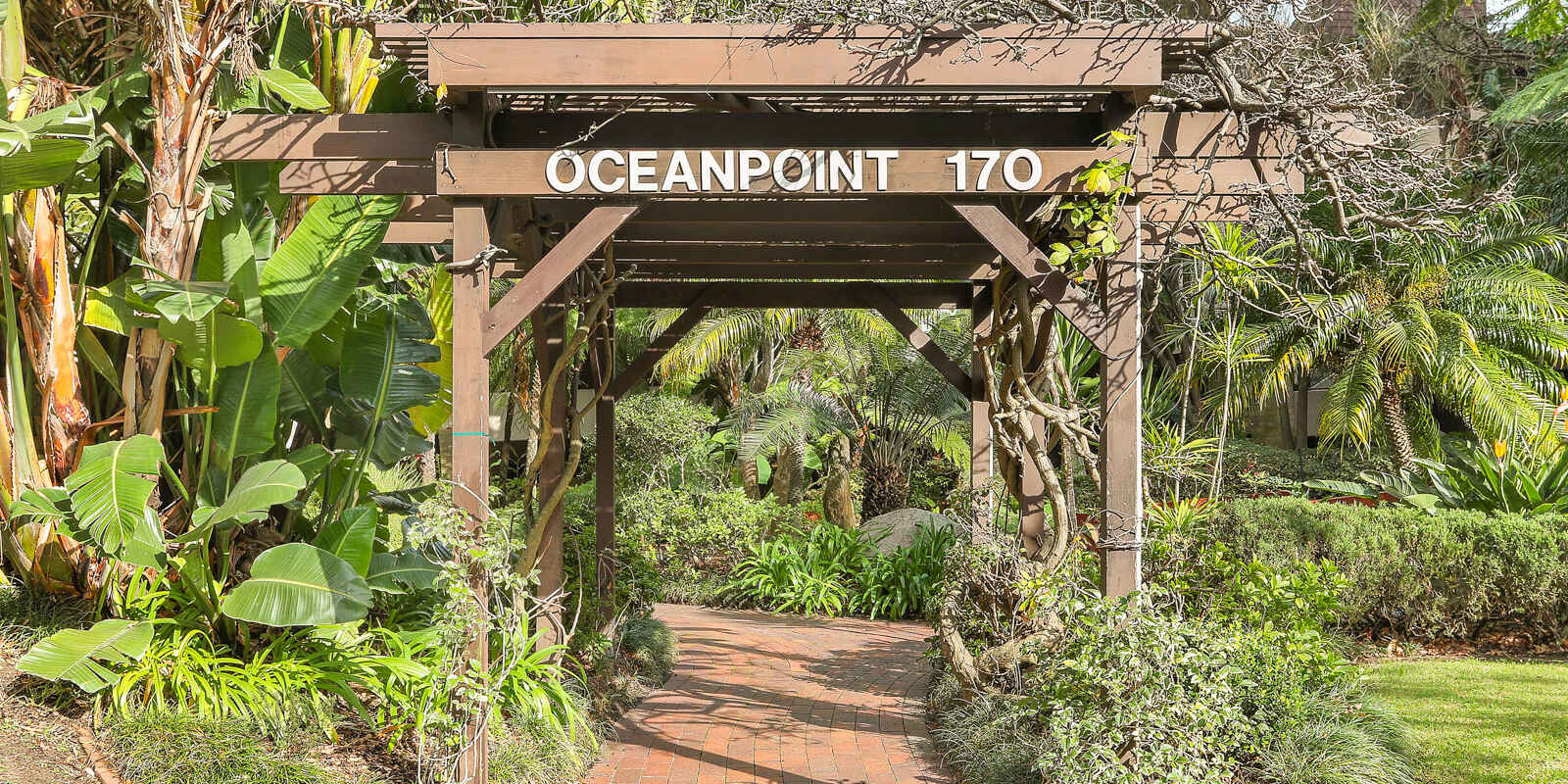 6/170 Ocean Street Edgecliff