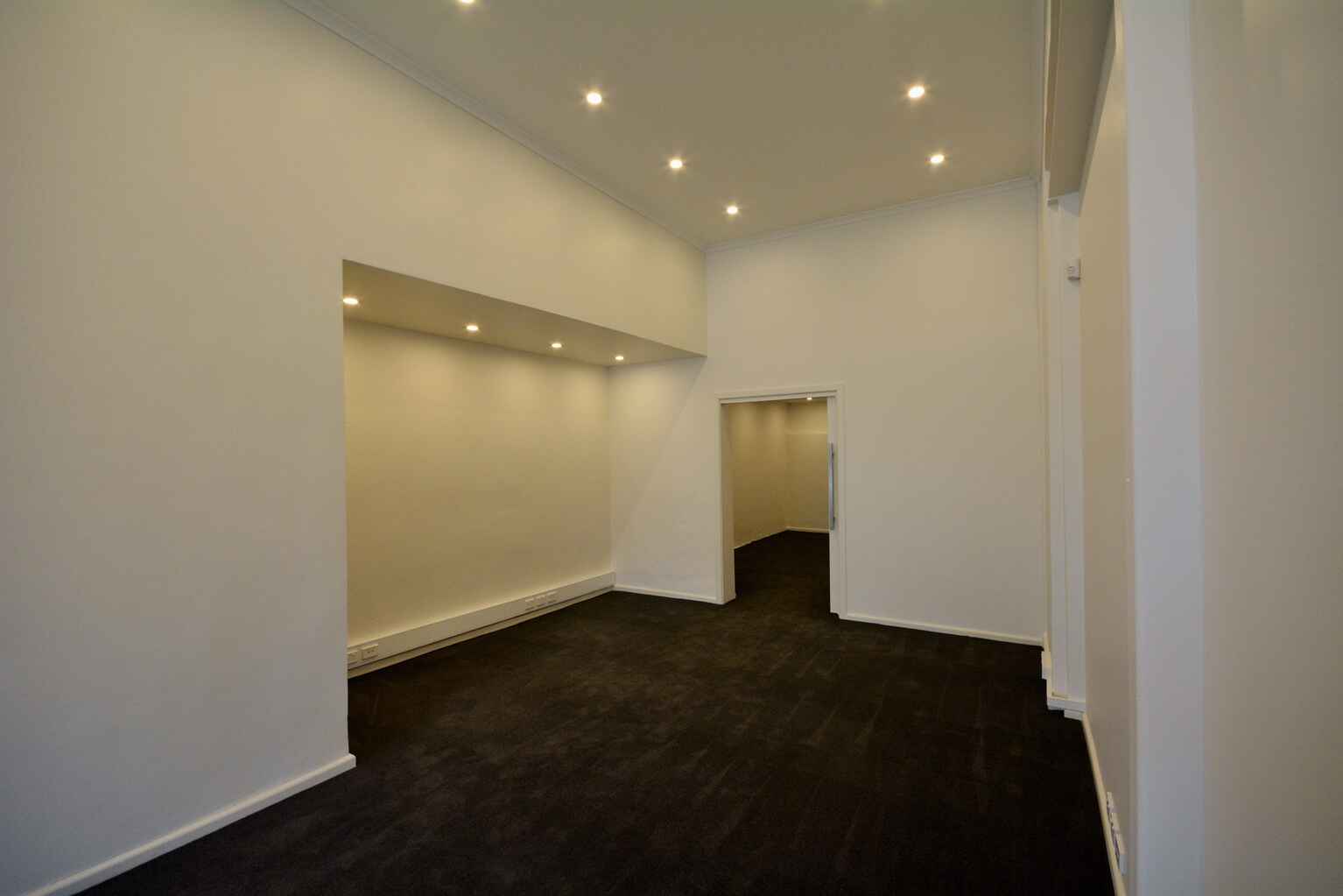 23 Albion Street Waverley