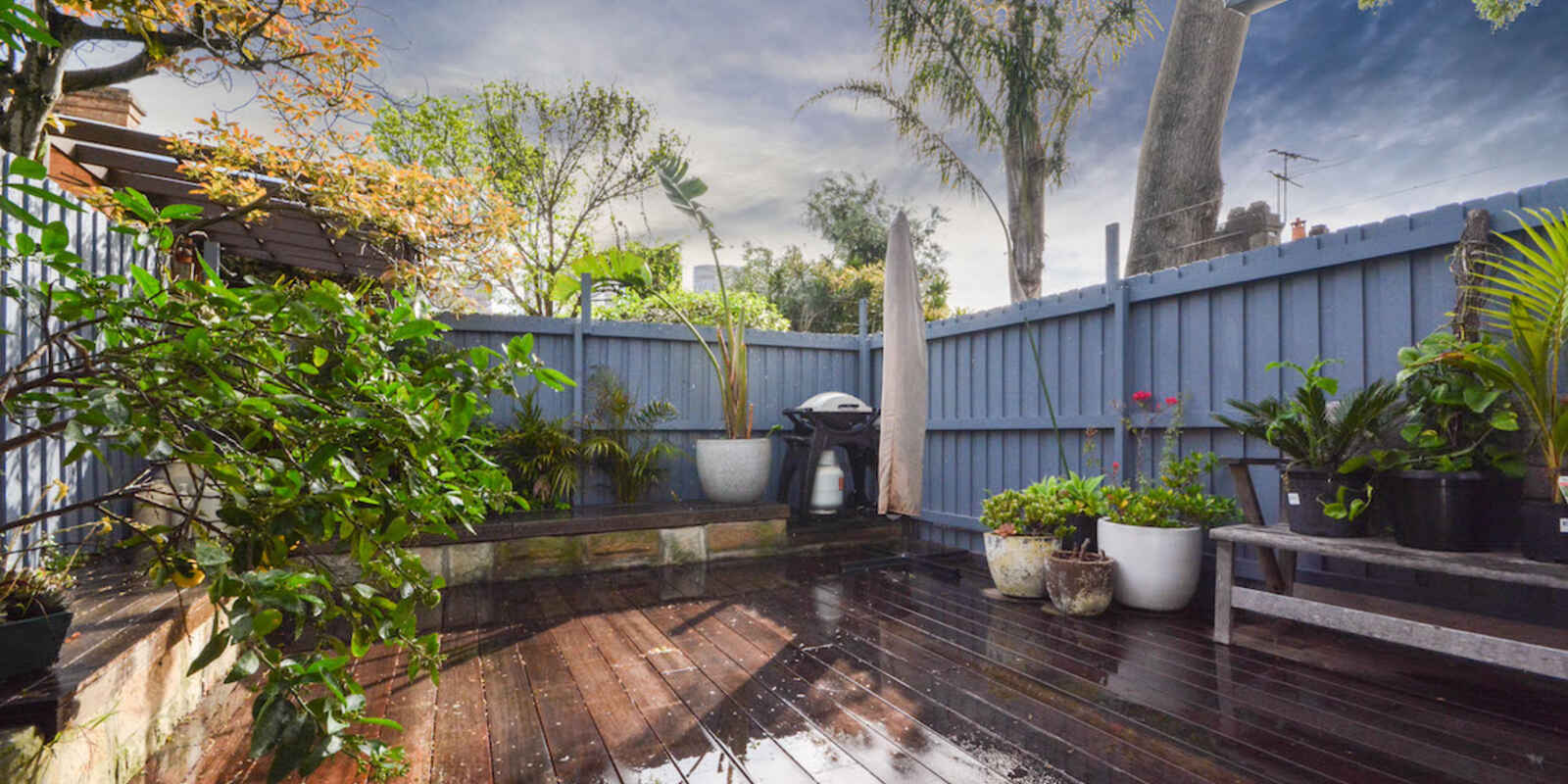 1 Paul Street Bondi Junction