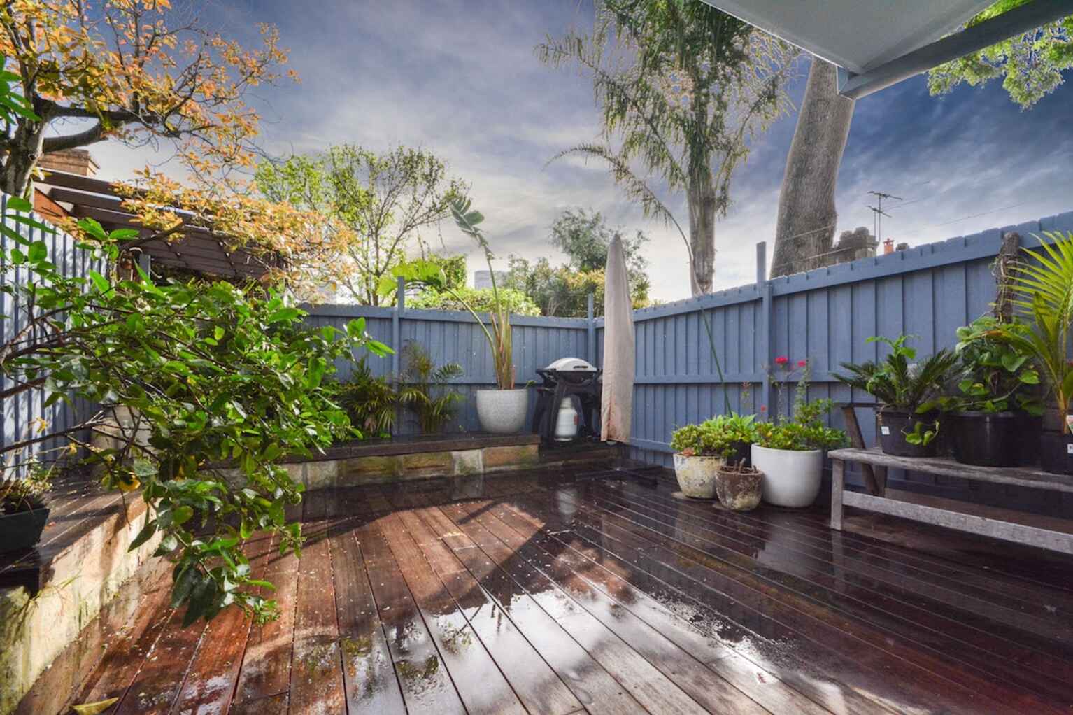 1 Paul Street Bondi Junction