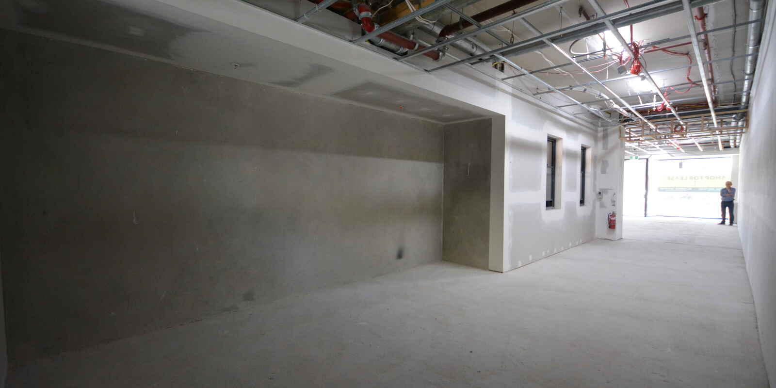 146 Edgecliff Road Woollahra