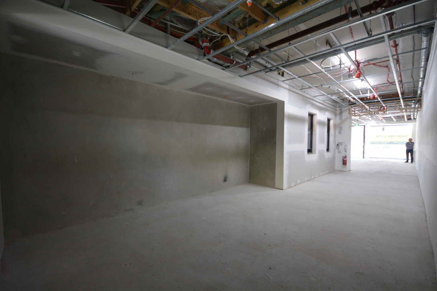 146 Edgecliff Road Woollahra