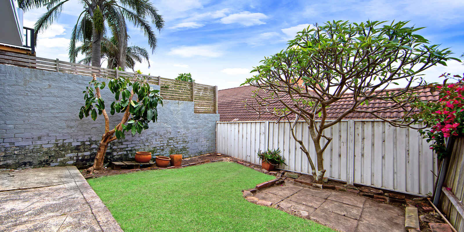 16 Dudley Street Bondi