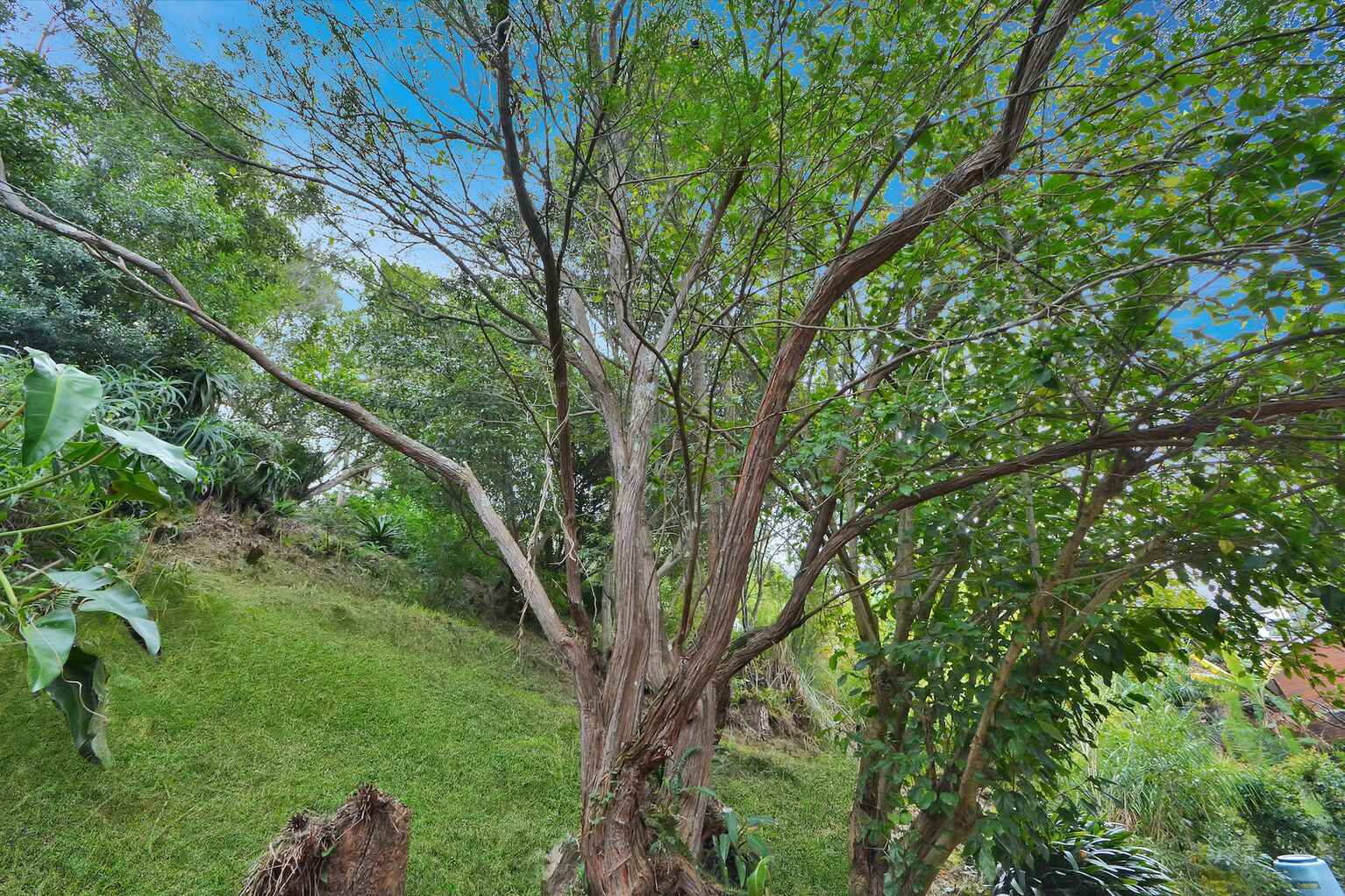 21 Pauling Avenue Coogee 21 Pauling Avenue Coogee