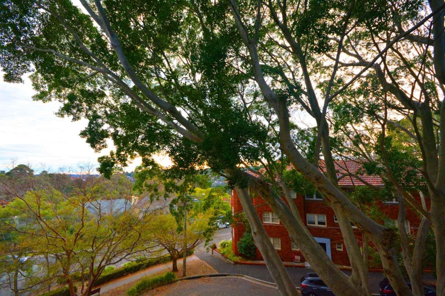 6/38 Nelson Street Woollahra 6/38 Nelson Street Woollahra