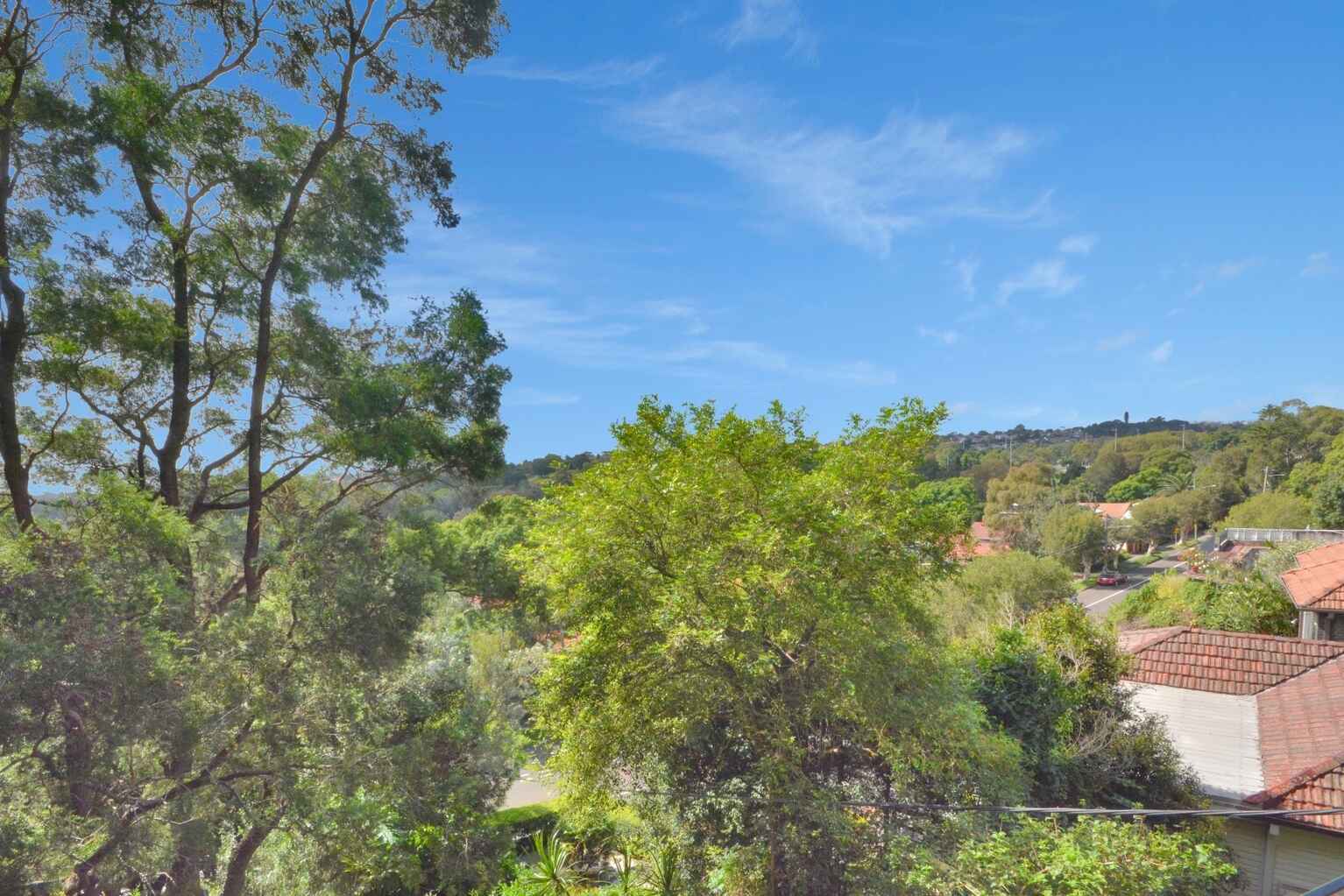 1B/83 Homer Street Earlwood 1B/83 Homer Street Earlwood