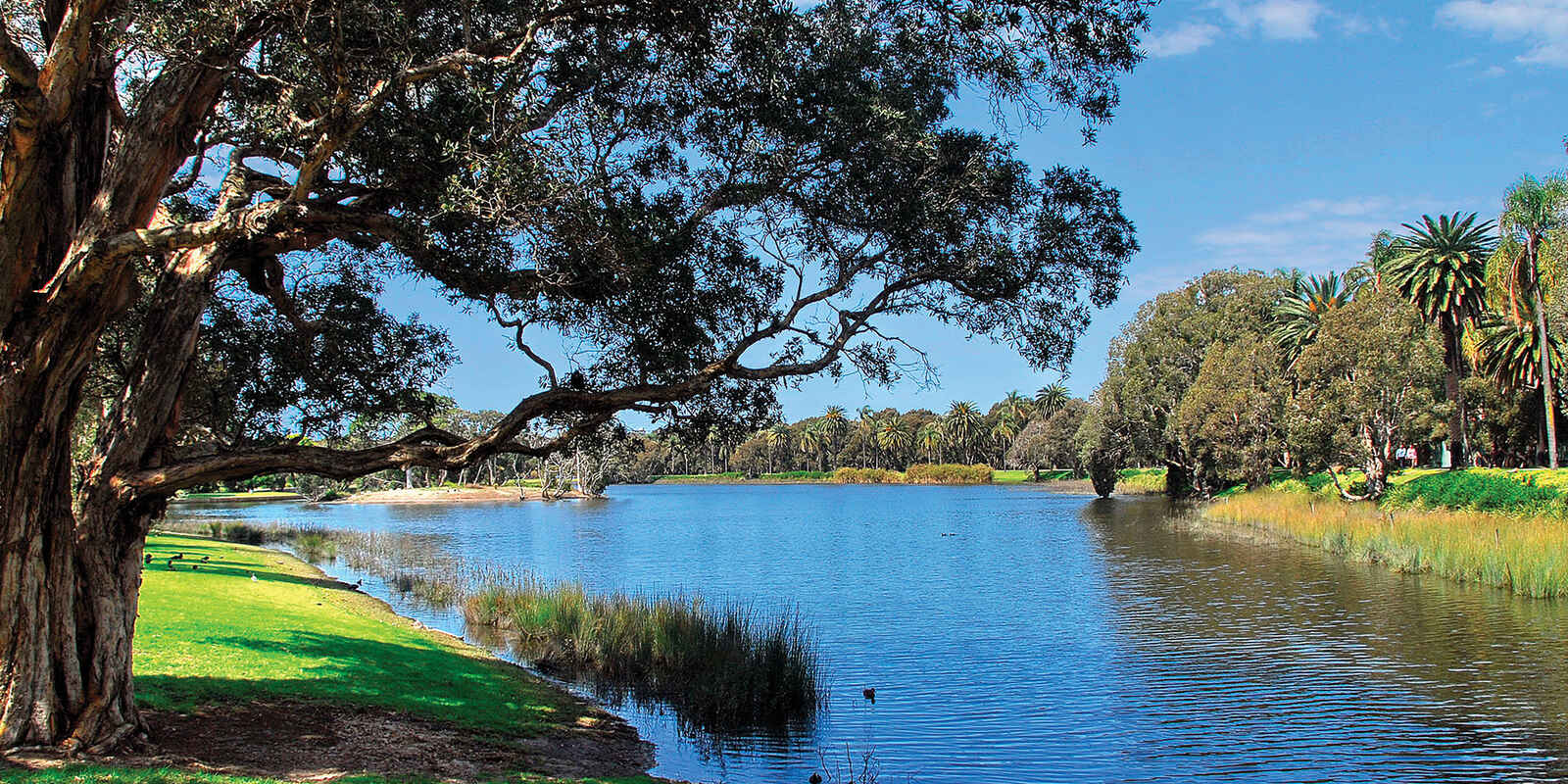 801/59 Oxford Street Bondi Junction 801/59 Oxford Street Bondi Junction