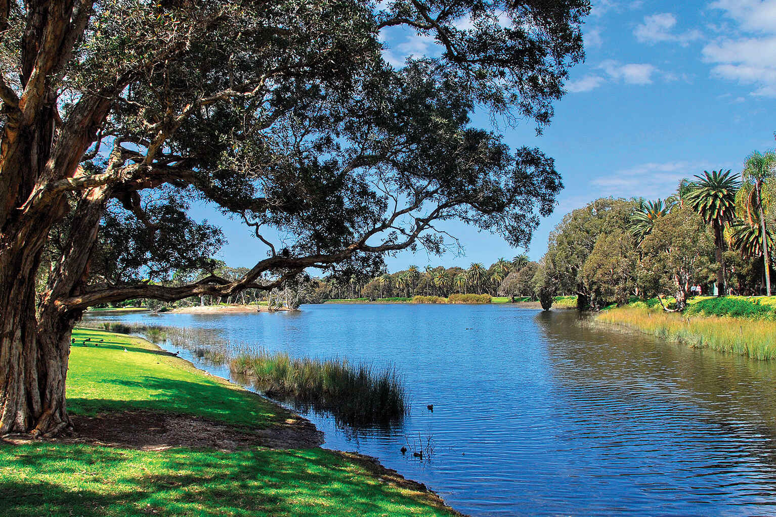 801/59 Oxford Street Bondi Junction