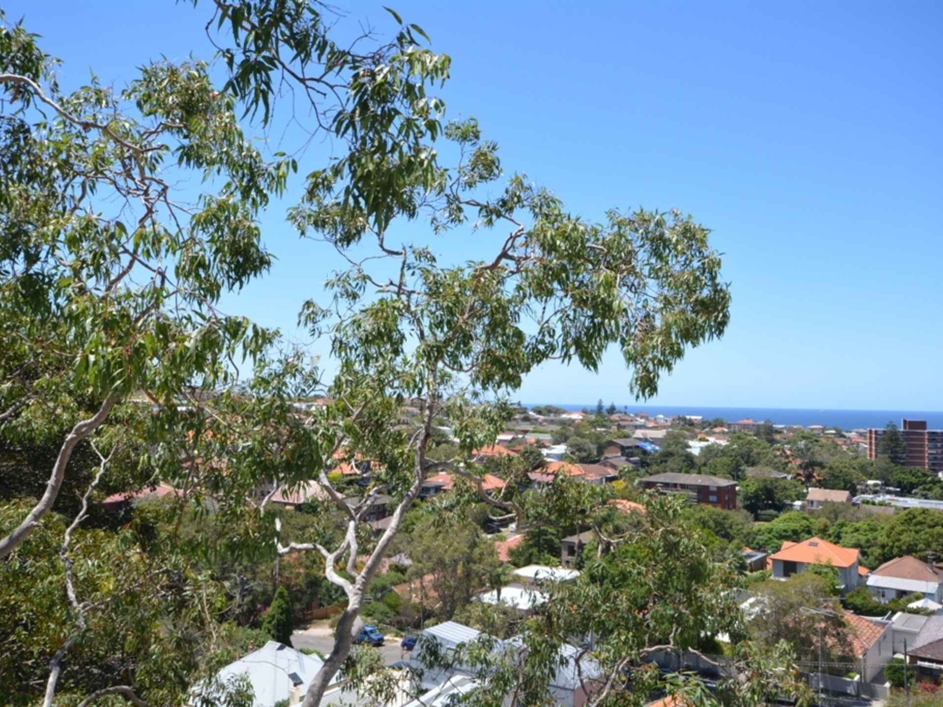 404/72 Henrietta Street Waverley