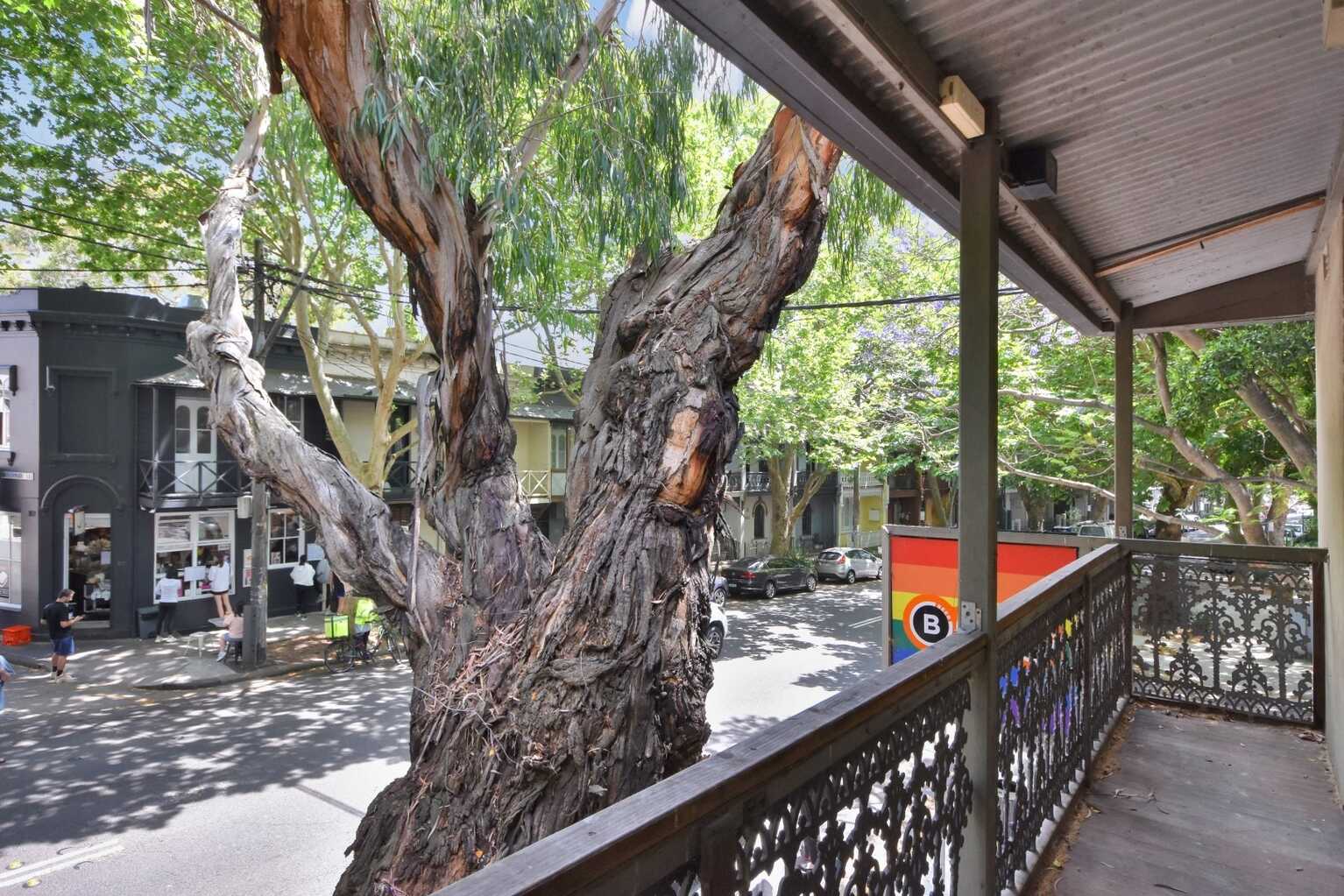 1/306 South Dowling Street Paddington