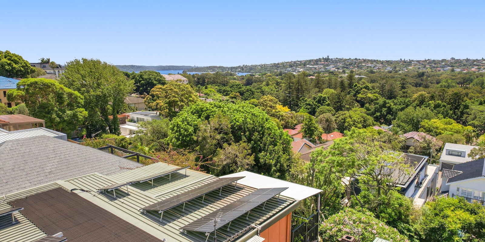 17 Bunyula Road Bellevue Hill