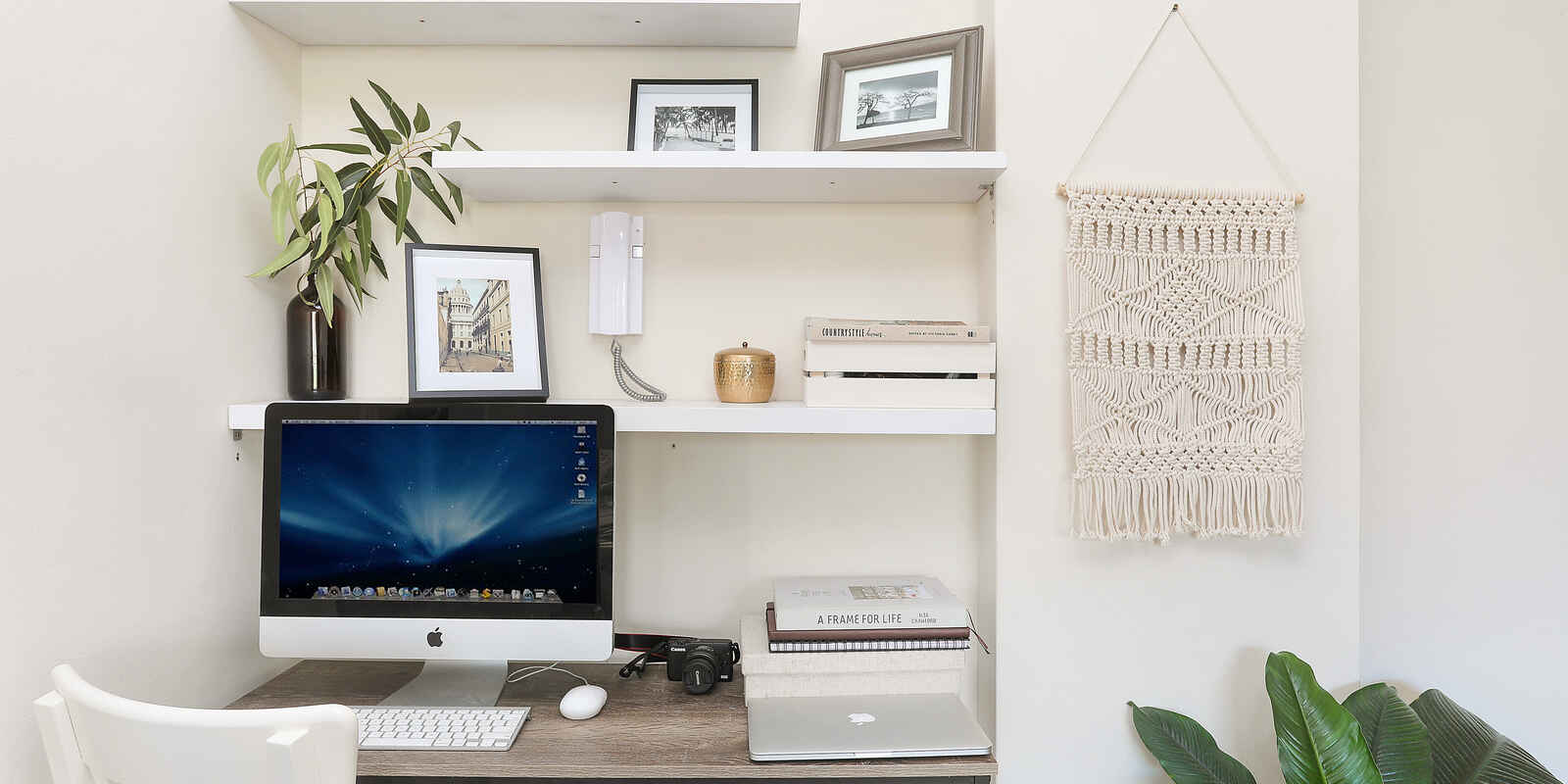 12/37 Paul Street Bondi Junction