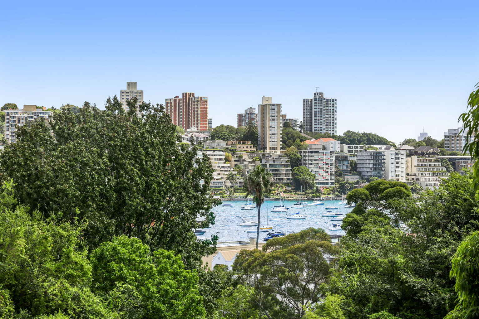 6/519A New South Head Road Double Bay