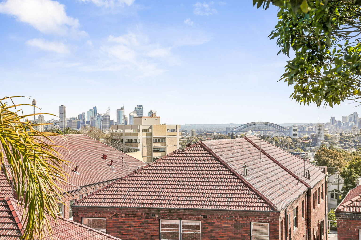 25/6 Paul Street Bondi Junction