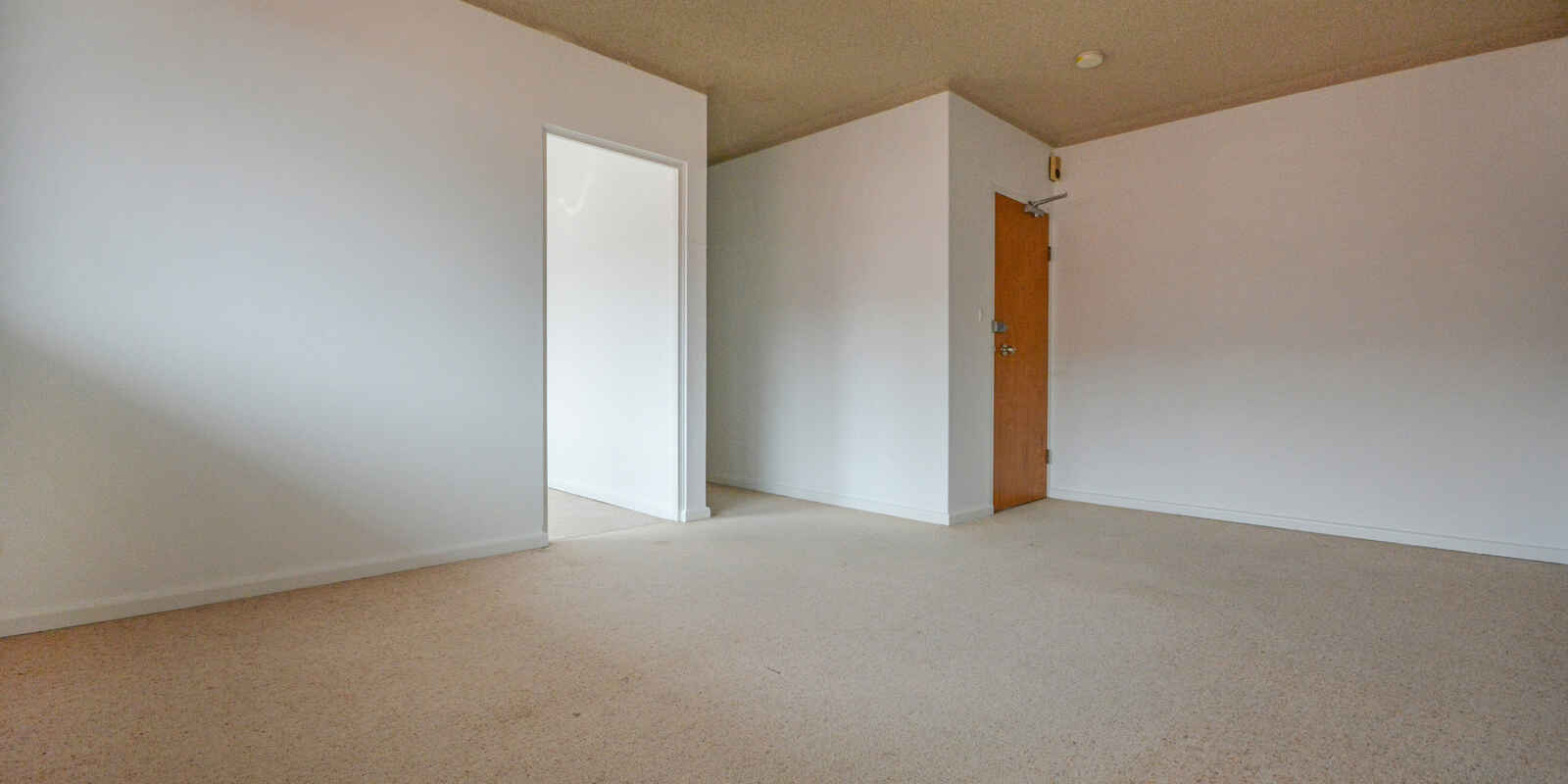 5/64 Willis Street Kingsford 5/64 Willis Street Kingsford