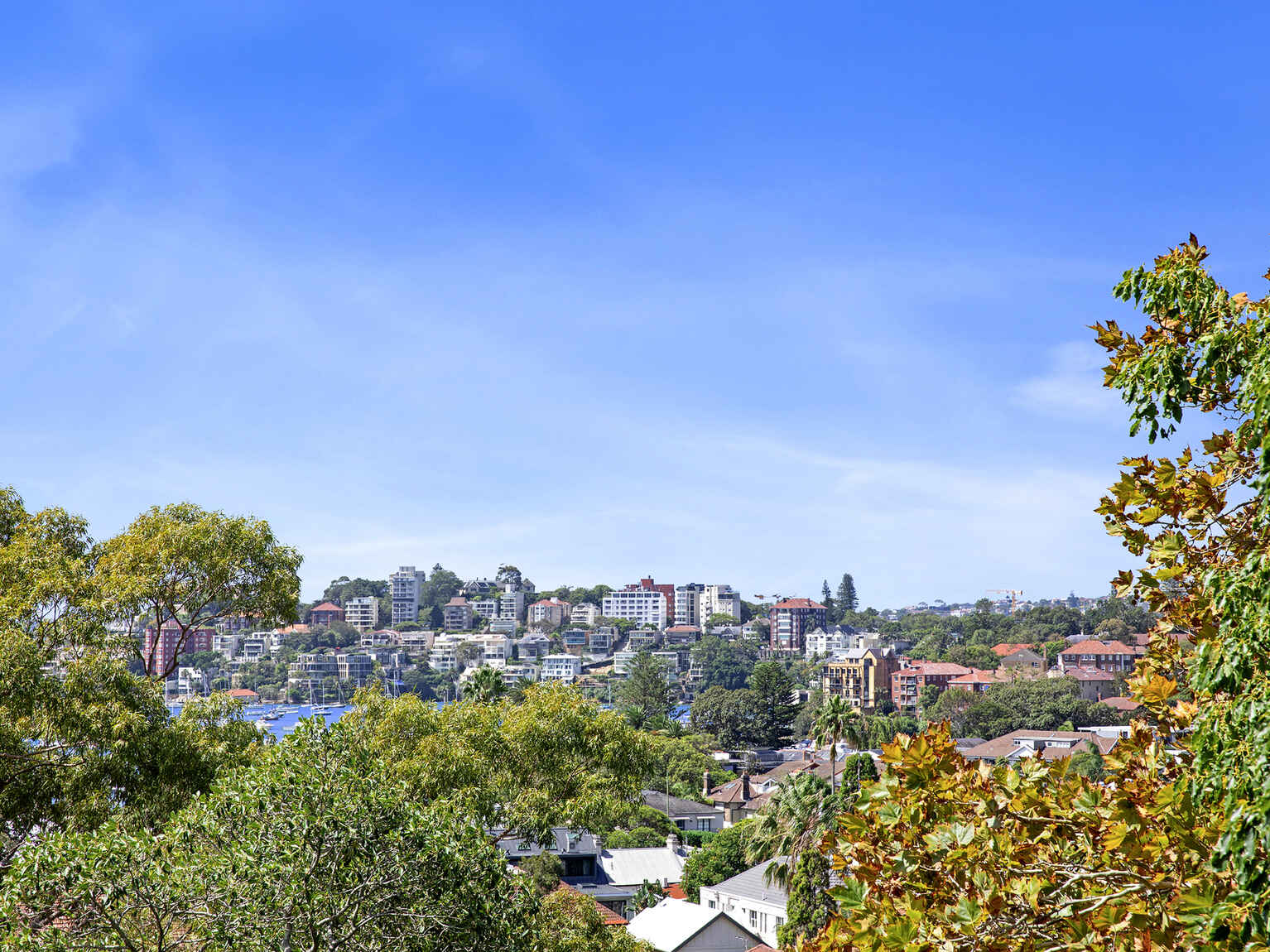 20/29 Ocean Avenue Double Bay
