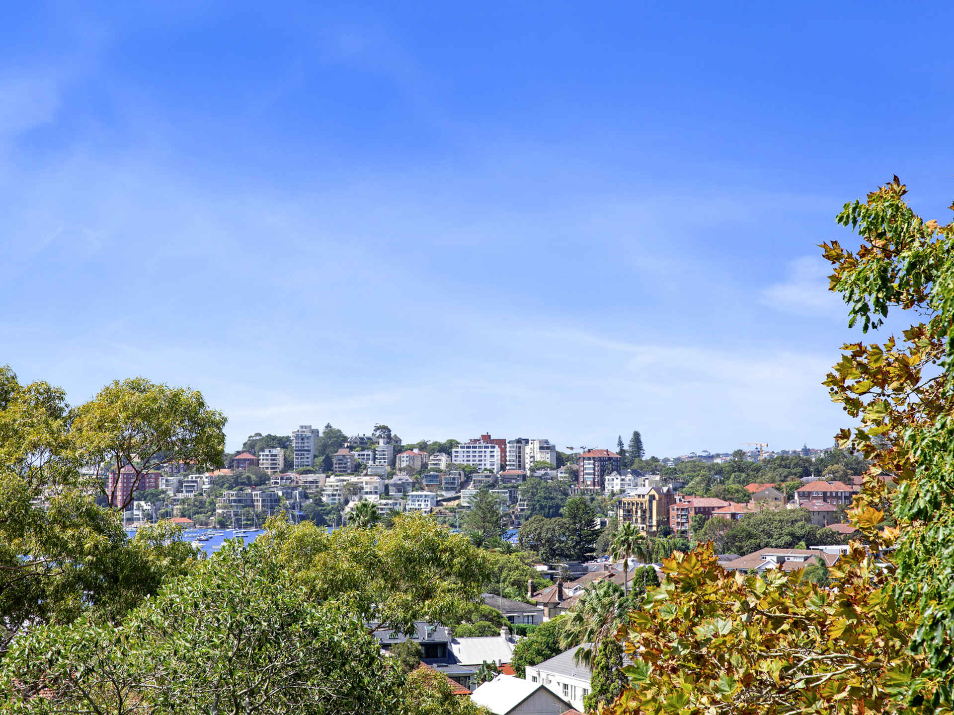 20/29 Ocean Avenue Double Bay