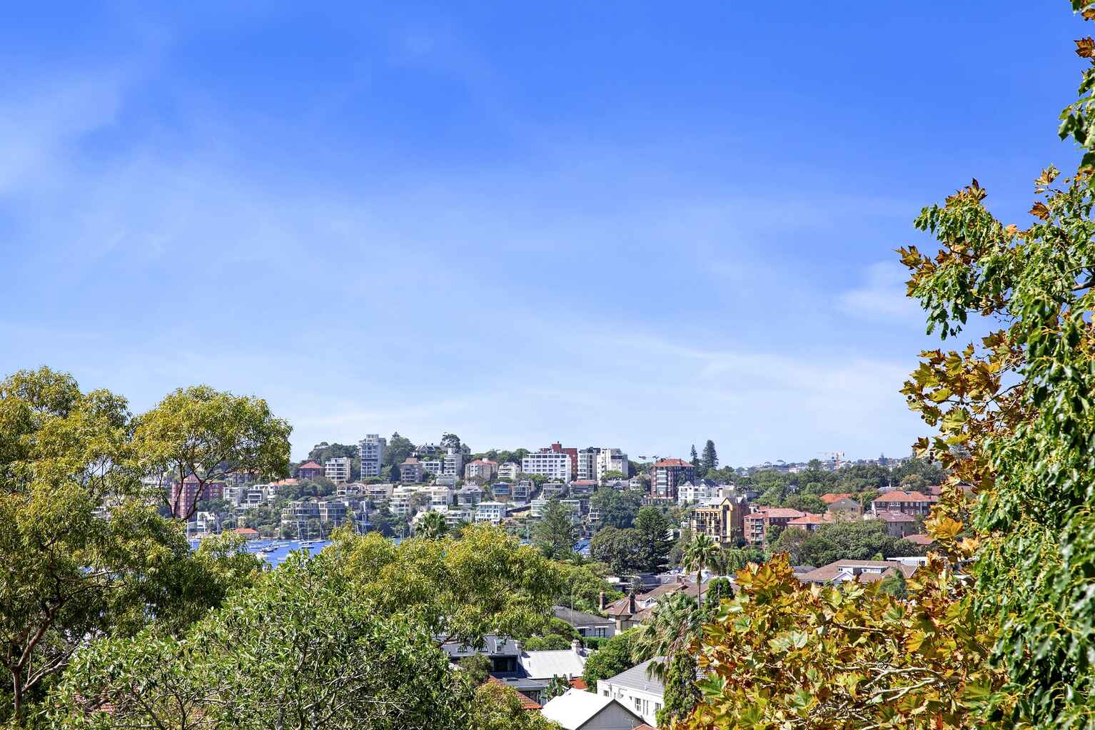 20/29 Ocean Avenue Double Bay 20/29 Ocean Avenue Double Bay