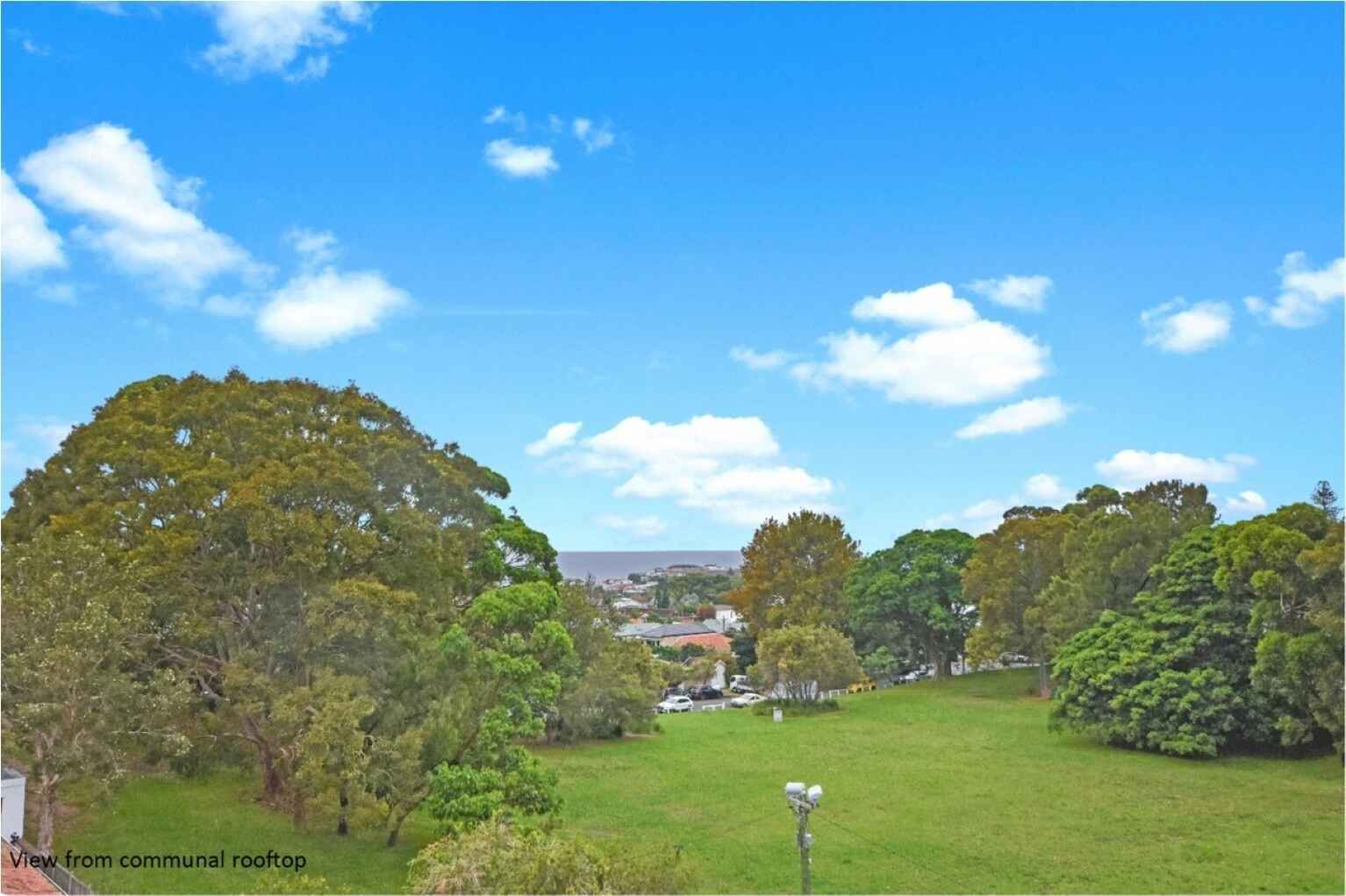 207/7 Wills Avenue Bronte