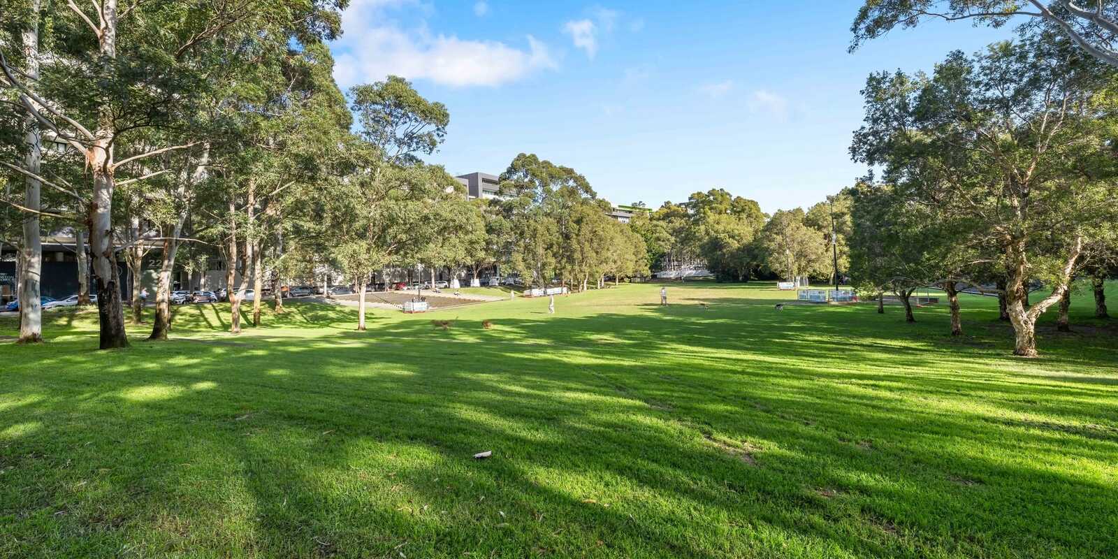 60/5B Victoria Park Parade Zetland