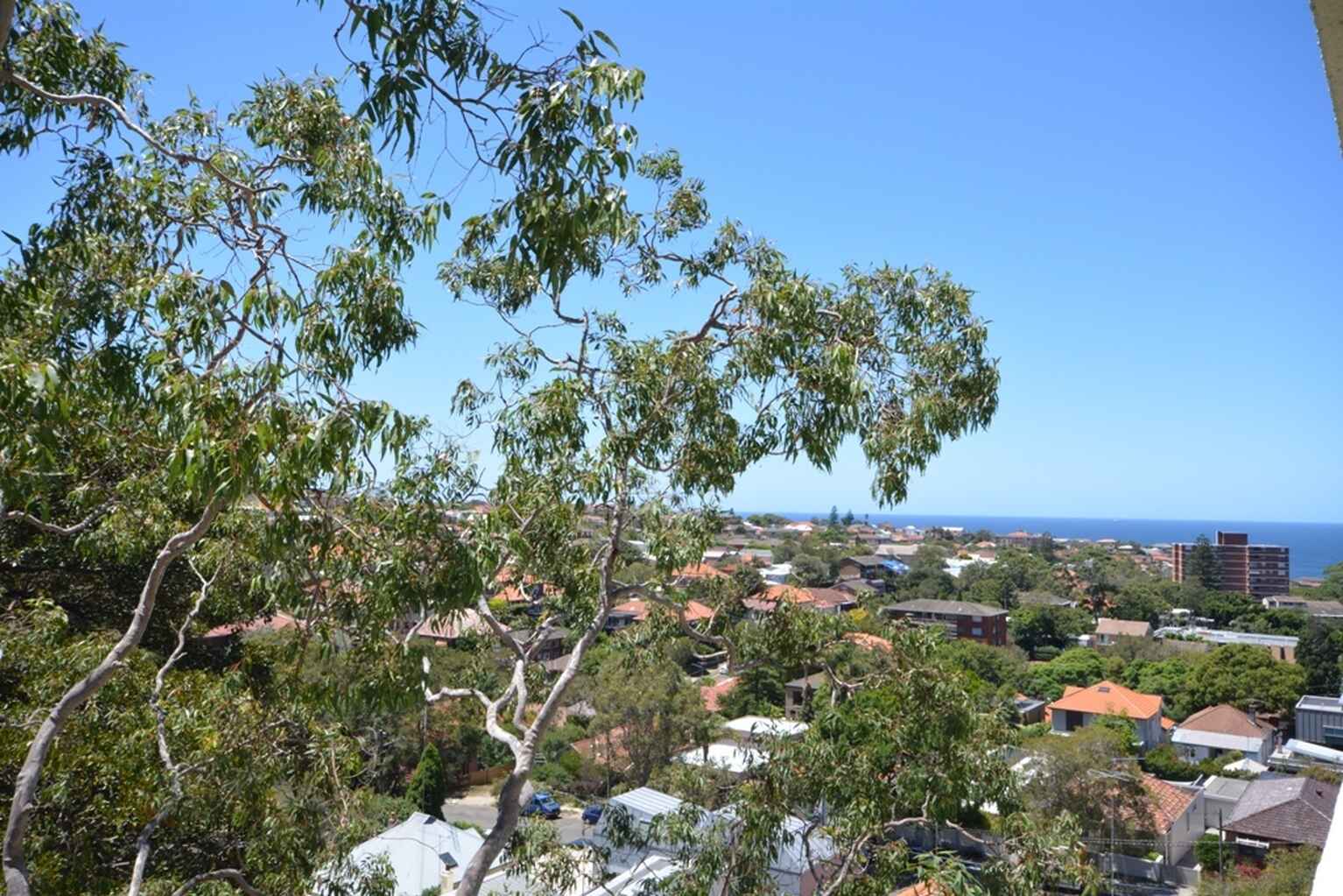 404/72 Henrietta Street Waverley